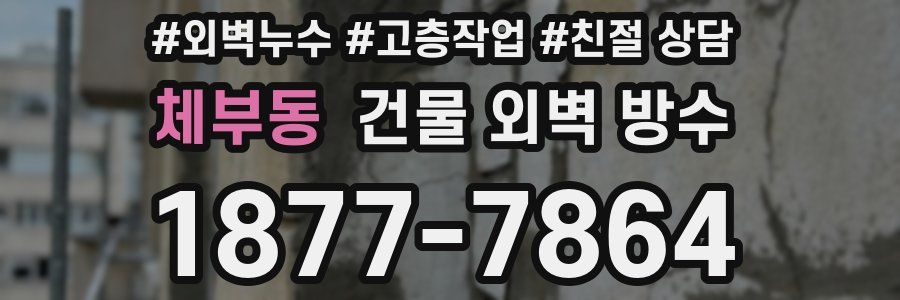 체부동 건물 외벽 방수