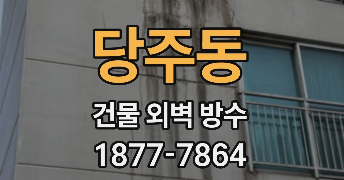 당주동 건물 외벽 방수