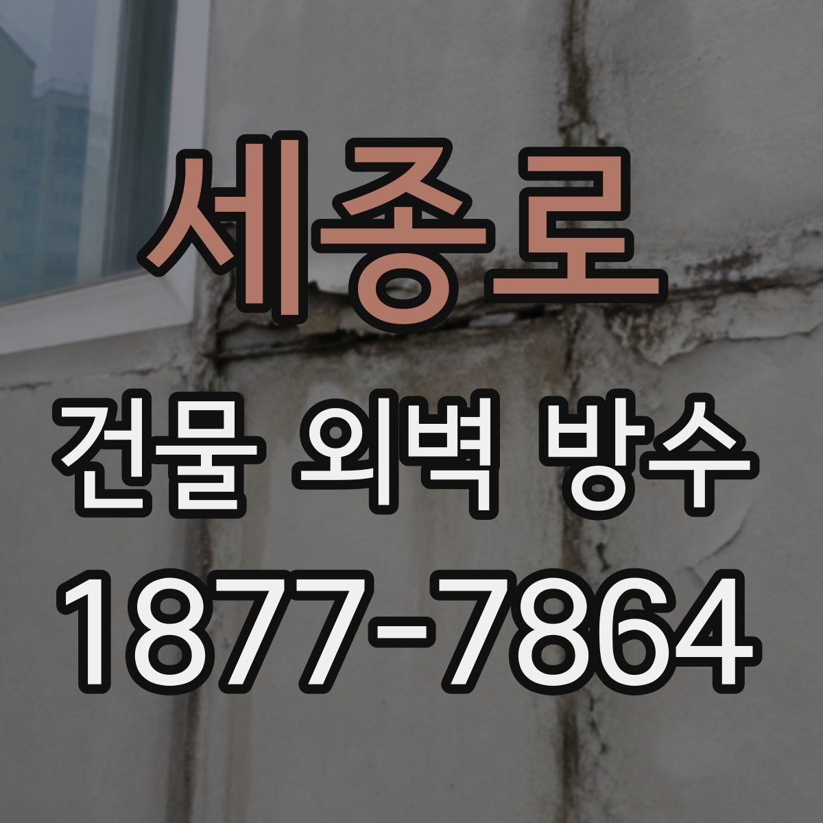 세종로 건물 외벽 방수