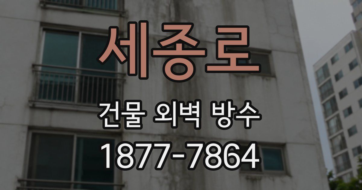 세종로 건물 외벽 방수