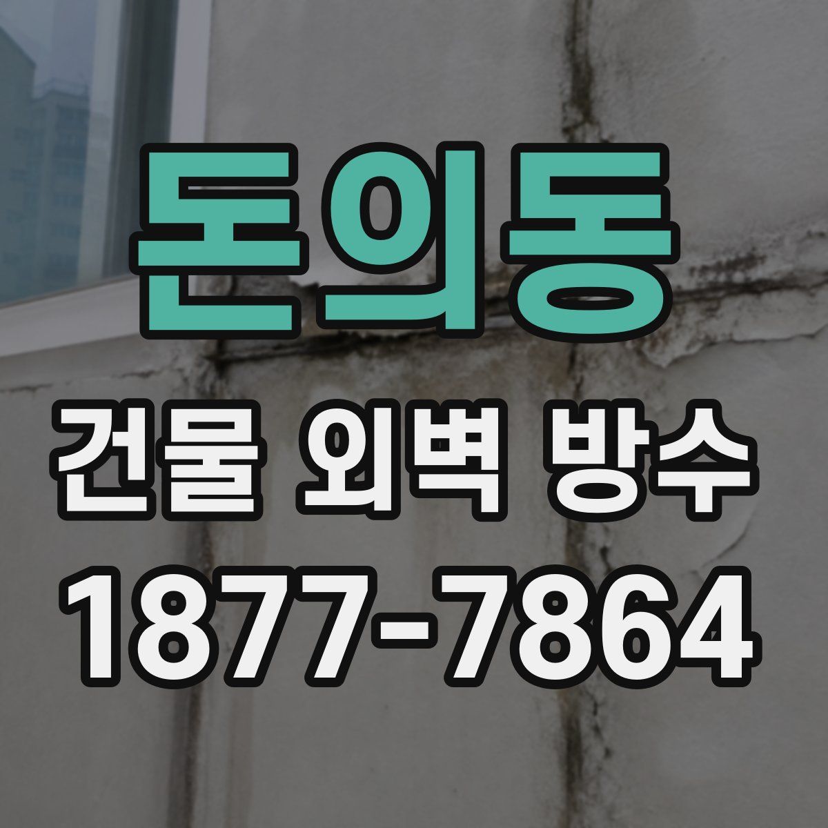 돈의동 건물 외벽 방수