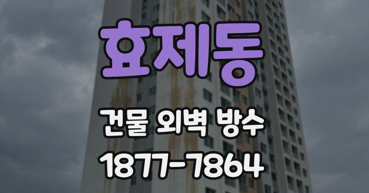 효제동 건물 외벽 방수