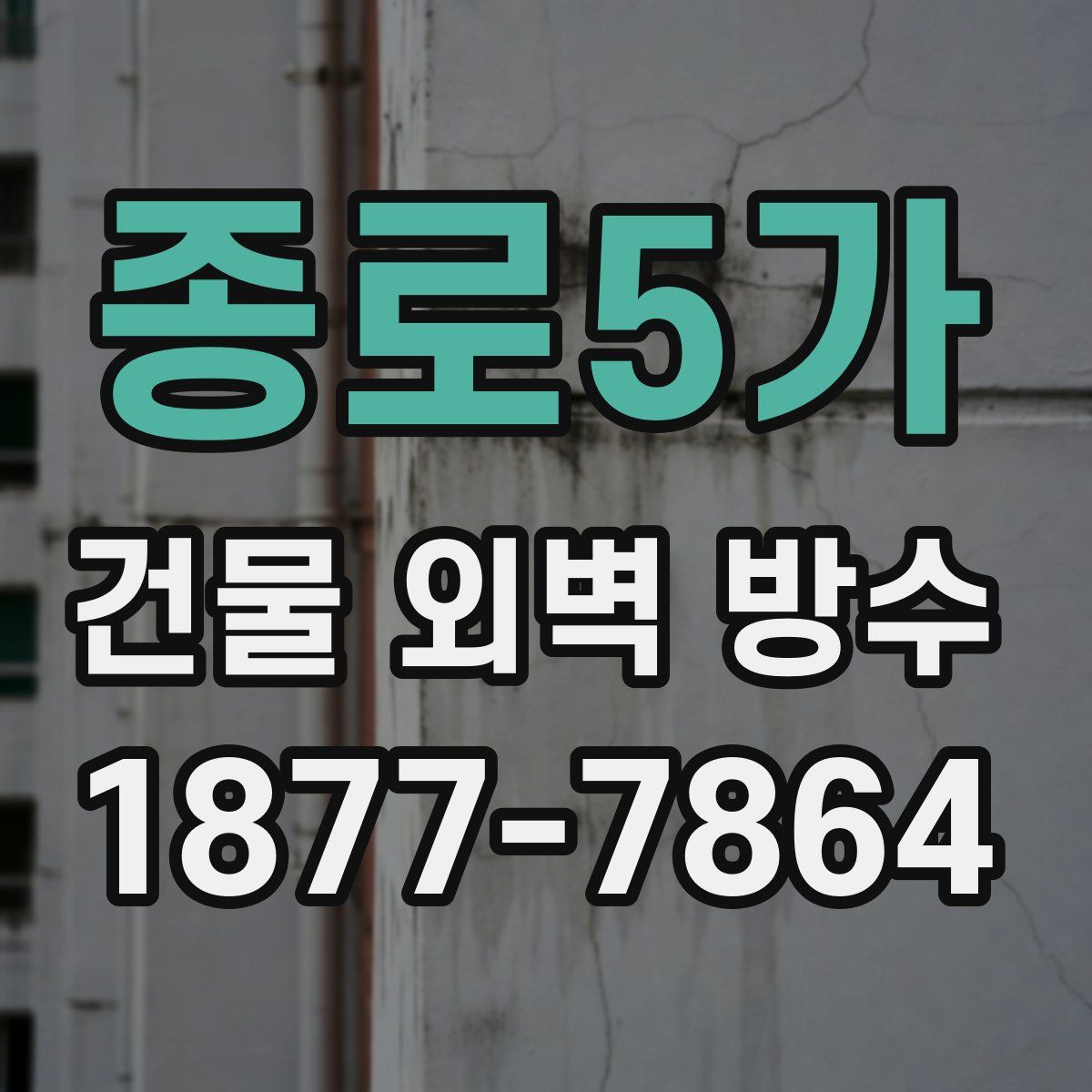 종로5가 건물 외벽 방수