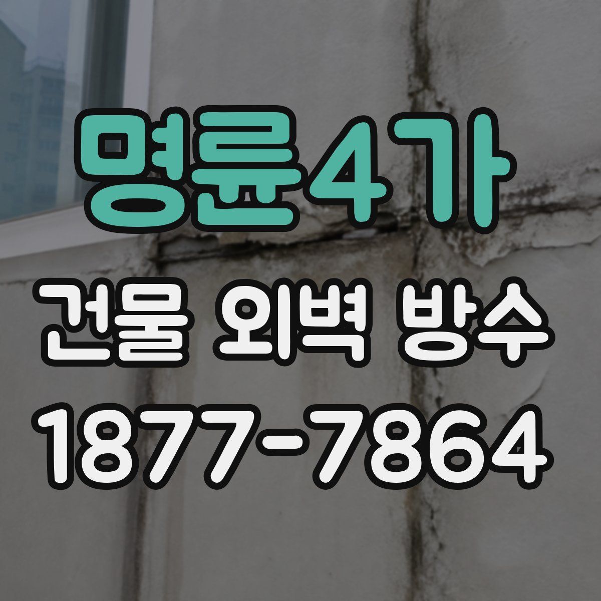 명륜4가 건물 외벽 방수