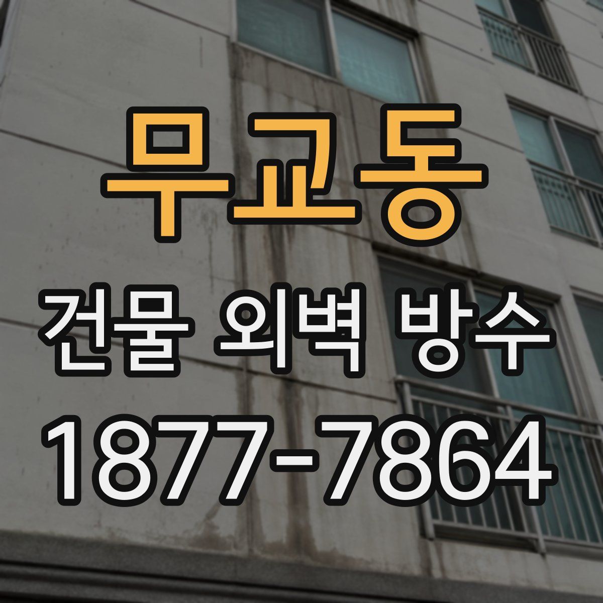 무교동 건물 외벽 방수