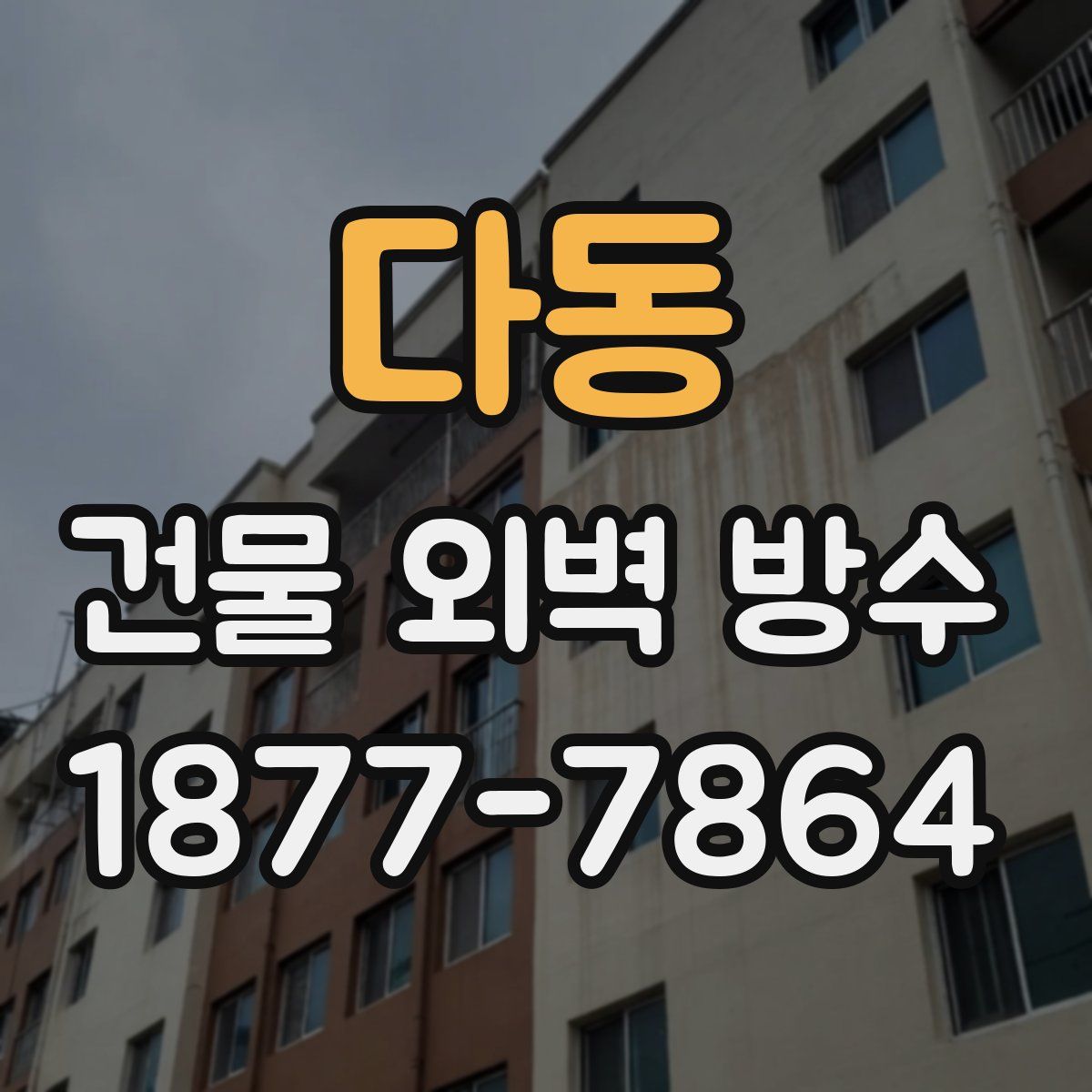다동 건물 외벽 방수