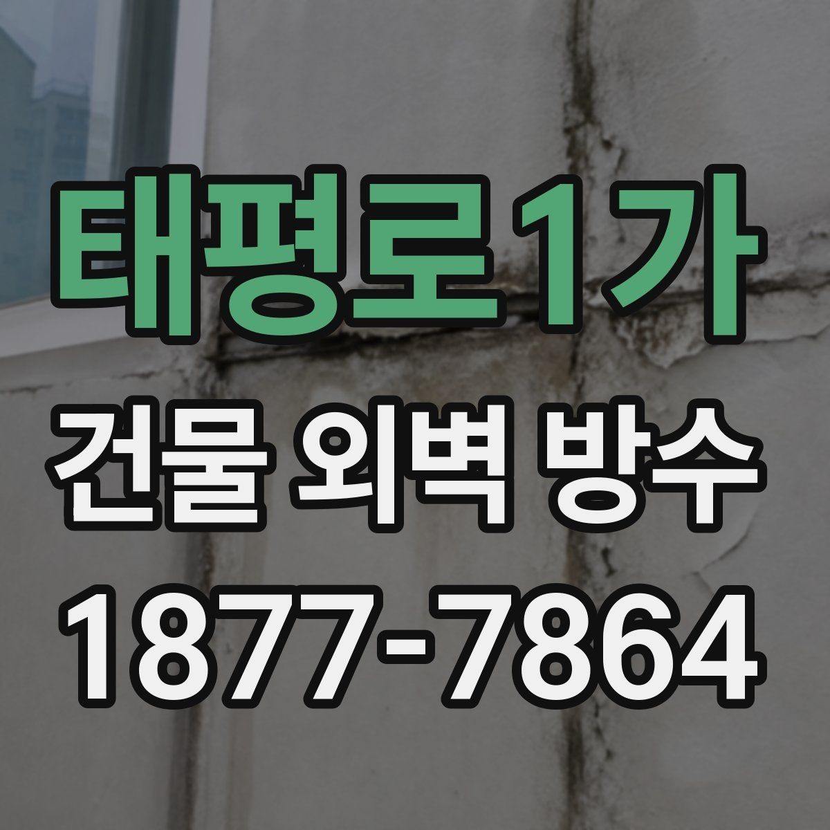 태평로1가 건물 외벽 방수 견적 확인 시 살펴볼 항목