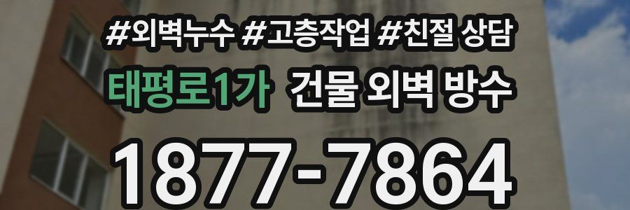 태평로1가 건물 외벽 방수