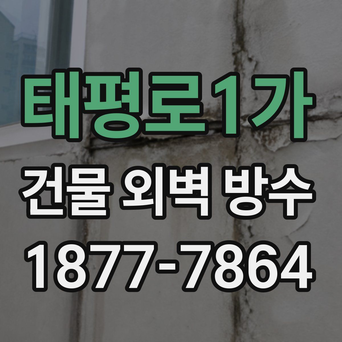태평로1가 건물 외벽 방수