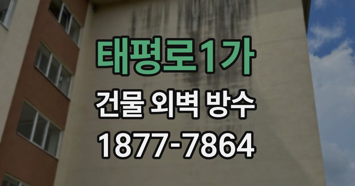 태평로1가 건물 외벽 방수