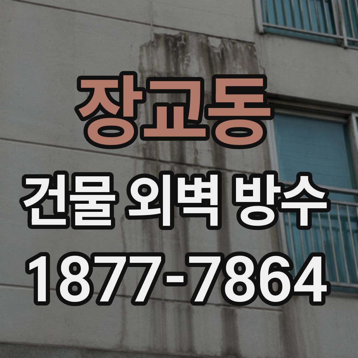 장교동 건물 외벽 방수