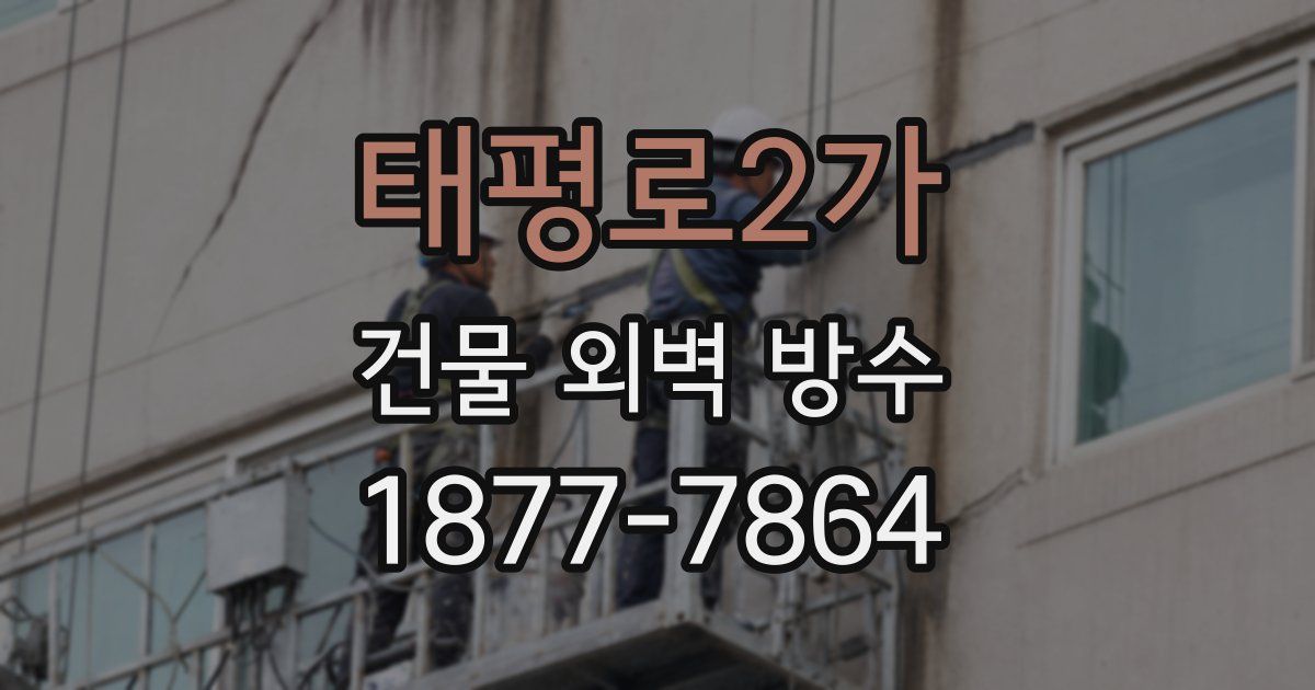 태평로2가 건물 외벽 방수