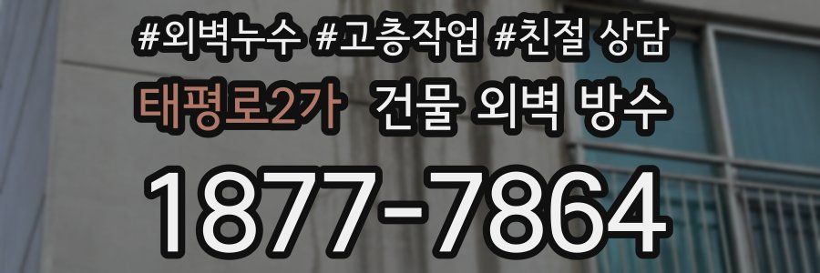태평로2가 건물 외벽 방수