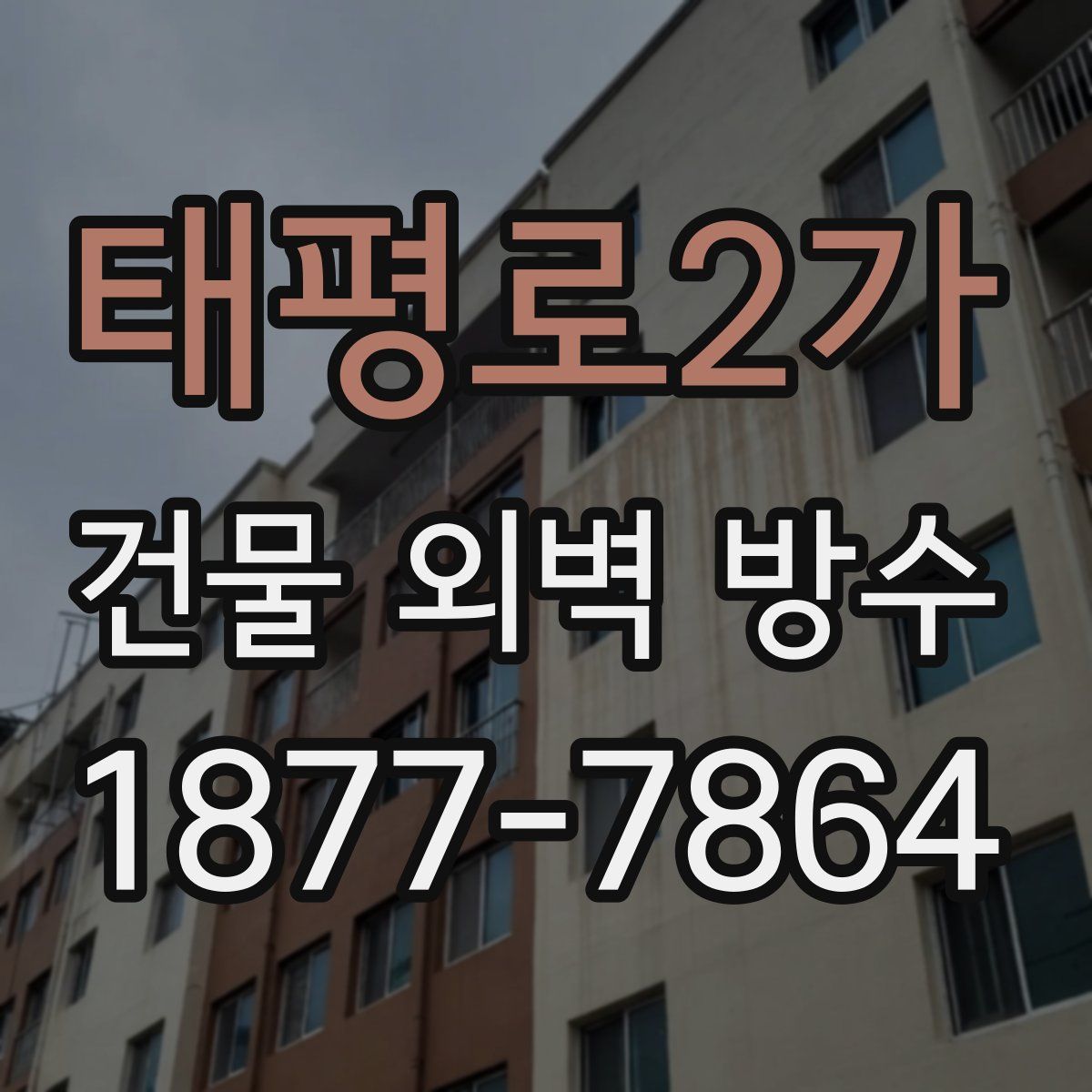 태평로2가 건물 외벽 방수