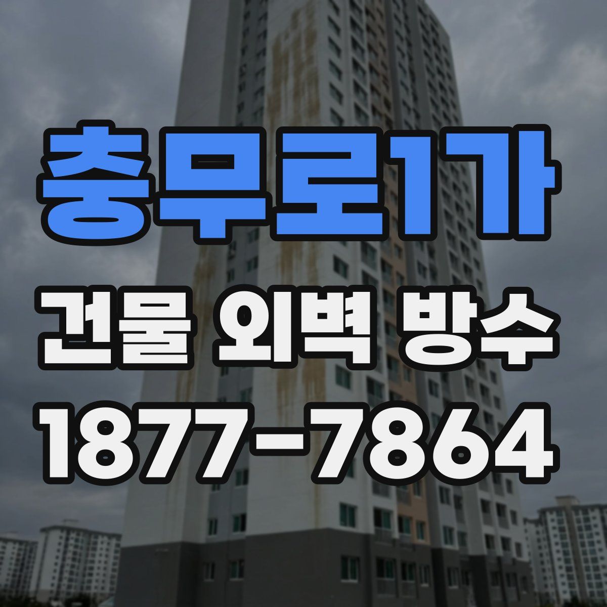 충무로1가 건물 외벽 방수