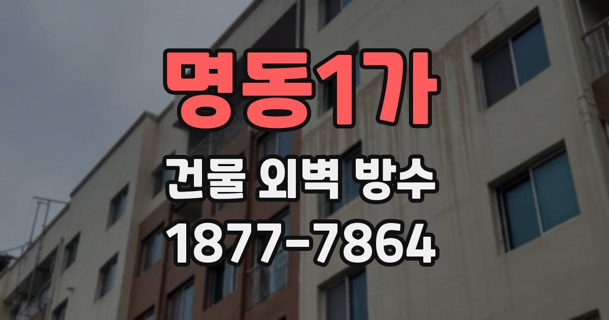 명동1가 건물 외벽 방수