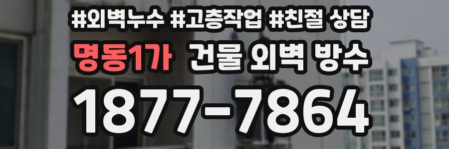 명동1가 건물 외벽 방수