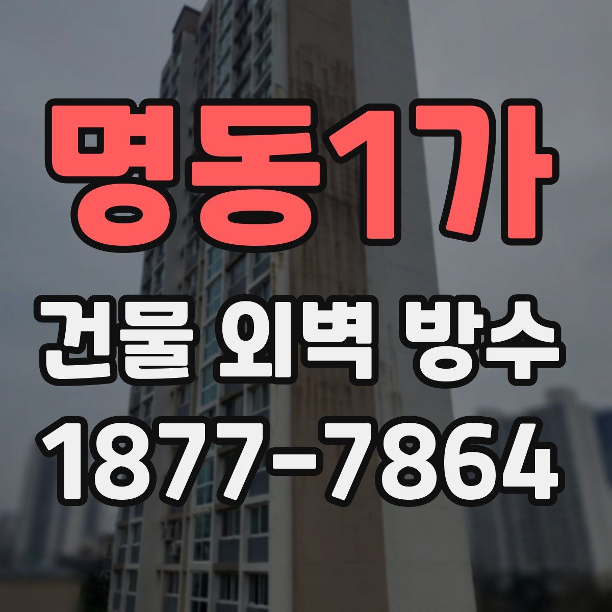 명동1가 건물 외벽 방수