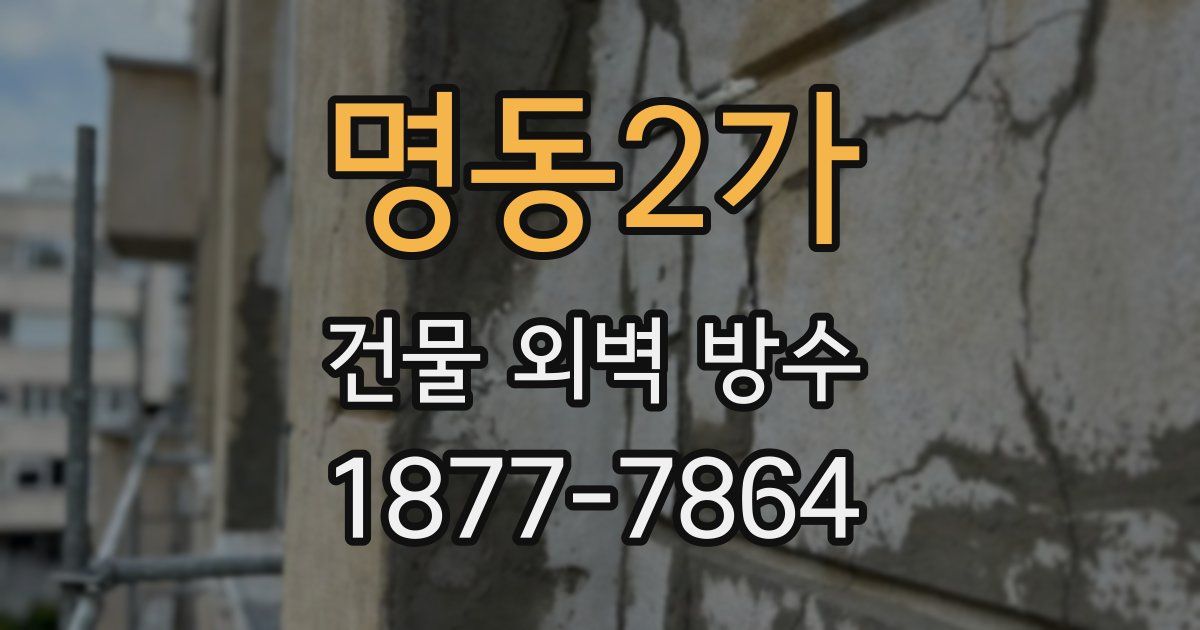 명동2가 건물 외벽 방수