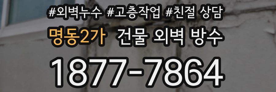 명동2가 건물 외벽 방수