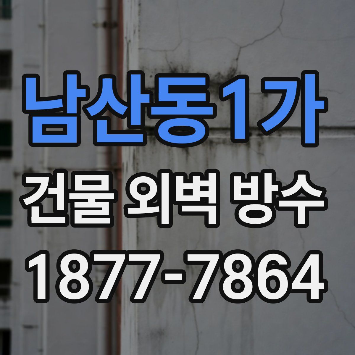 남산동1가 건물 외벽 방수