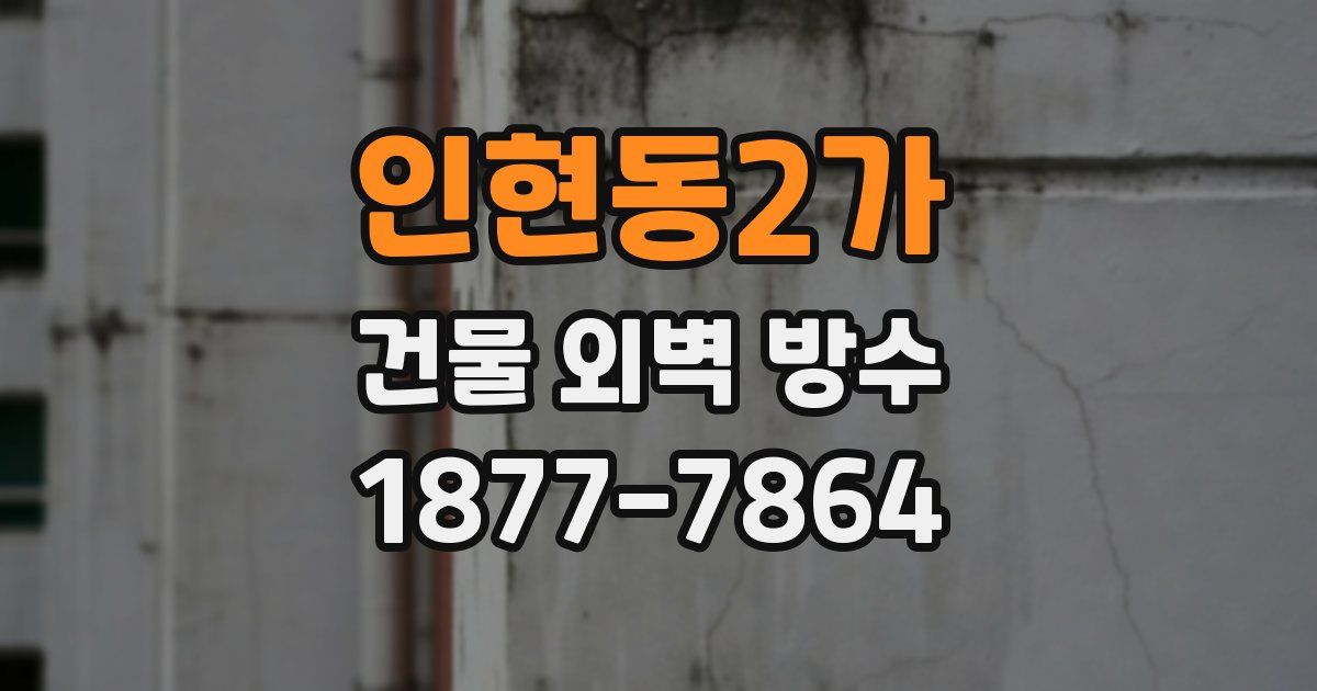 인현동2가 건물 외벽 방수