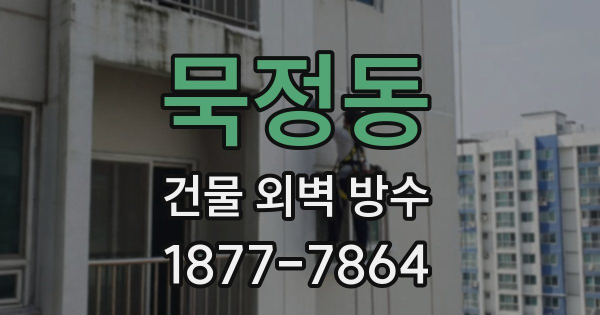 묵정동 건물 외벽 방수