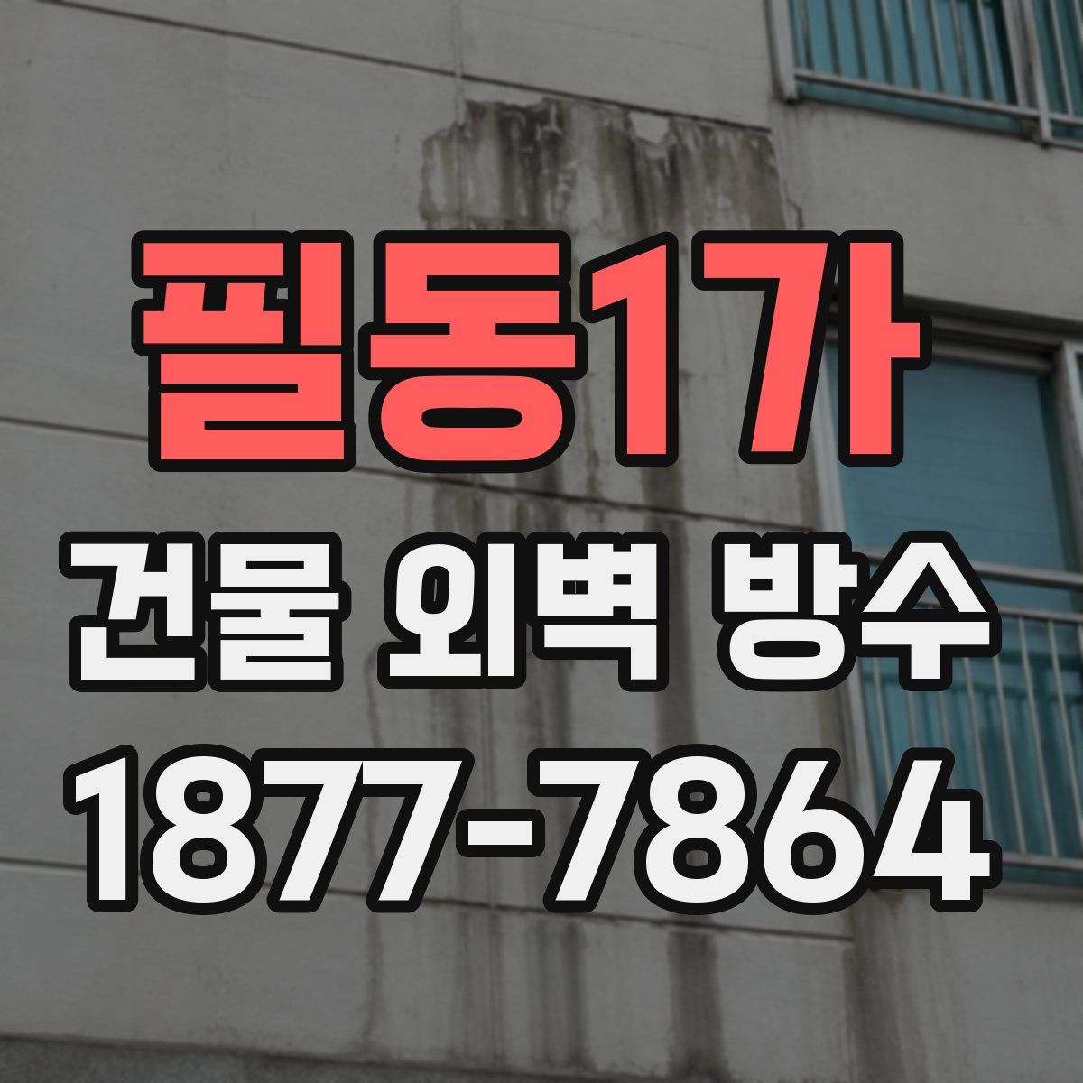 필동1가 건물 외벽 방수