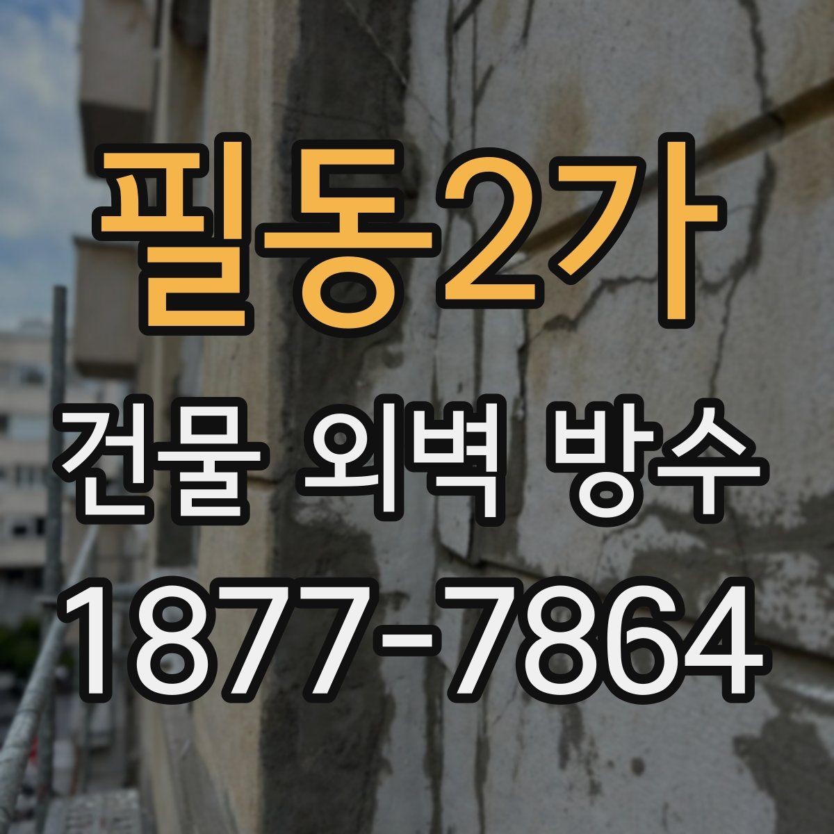 필동2가 건물 외벽 방수 견적서에서 확인할 세부 내역