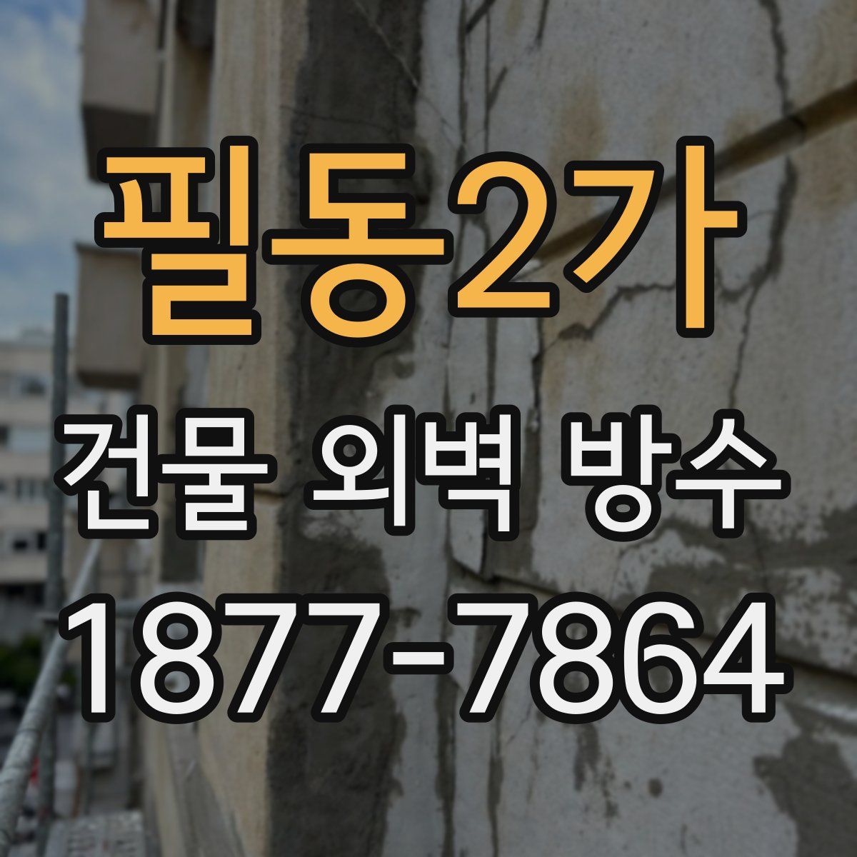 필동2가 건물 외벽 방수