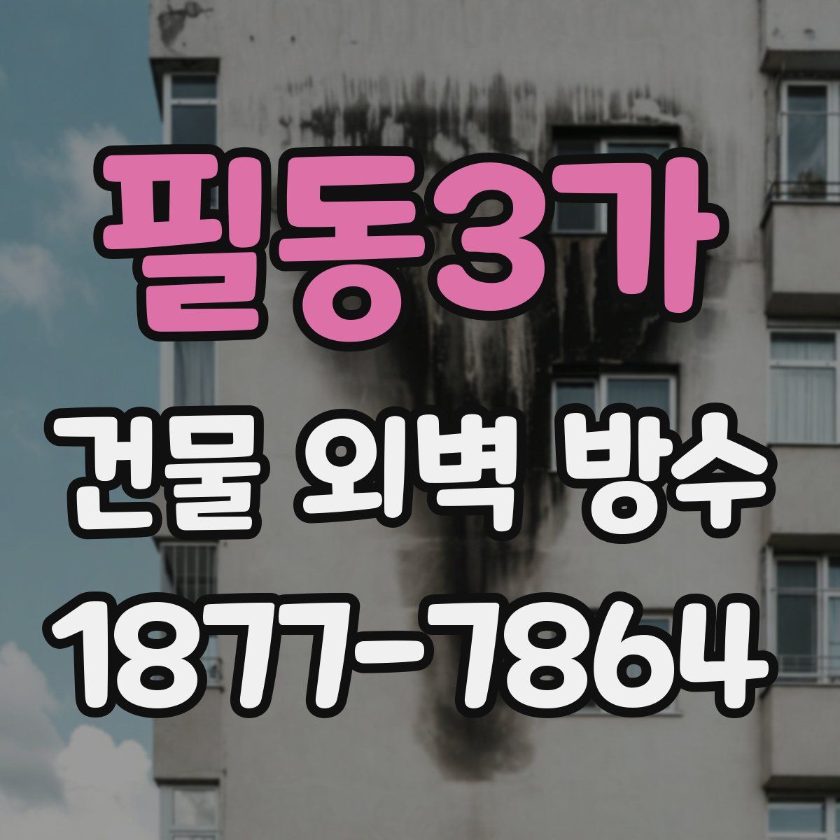 필동3가 건물 외벽 방수