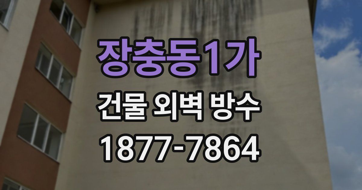 장충동1가 건물 외벽 방수