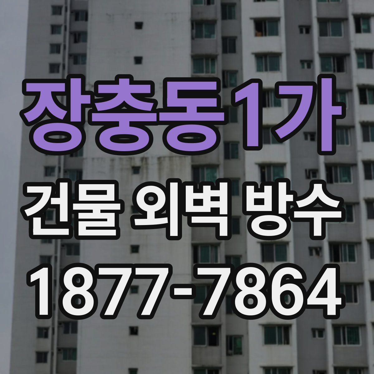 장충동1가 건물 외벽 방수