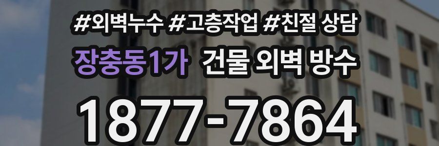 장충동1가 건물 외벽 방수