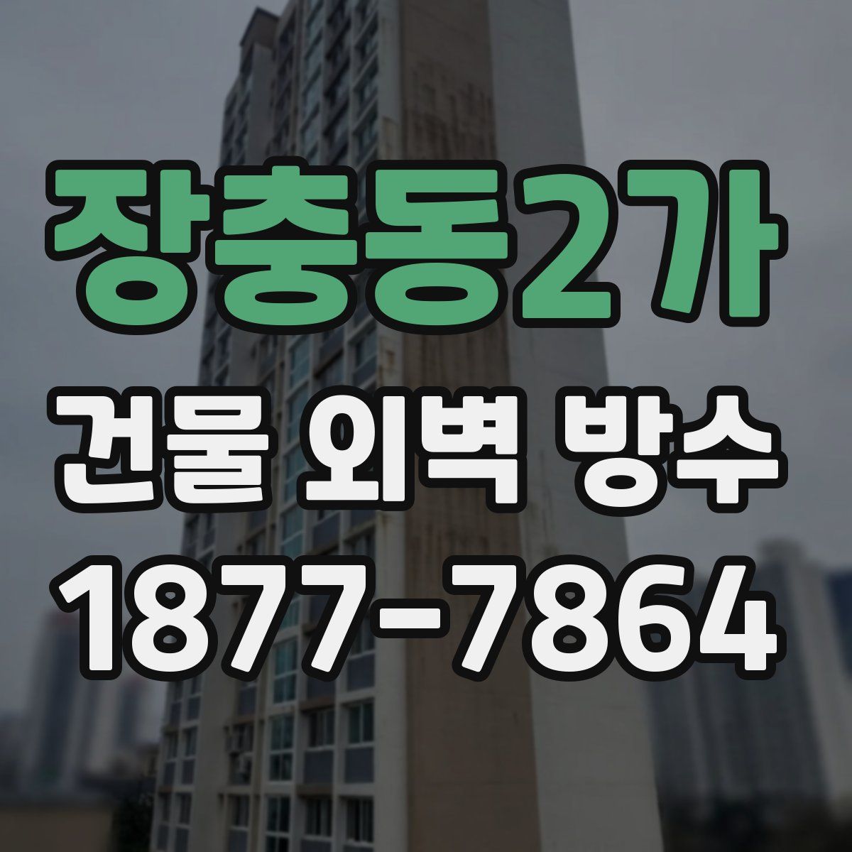 장충동2가 건물 외벽 방수