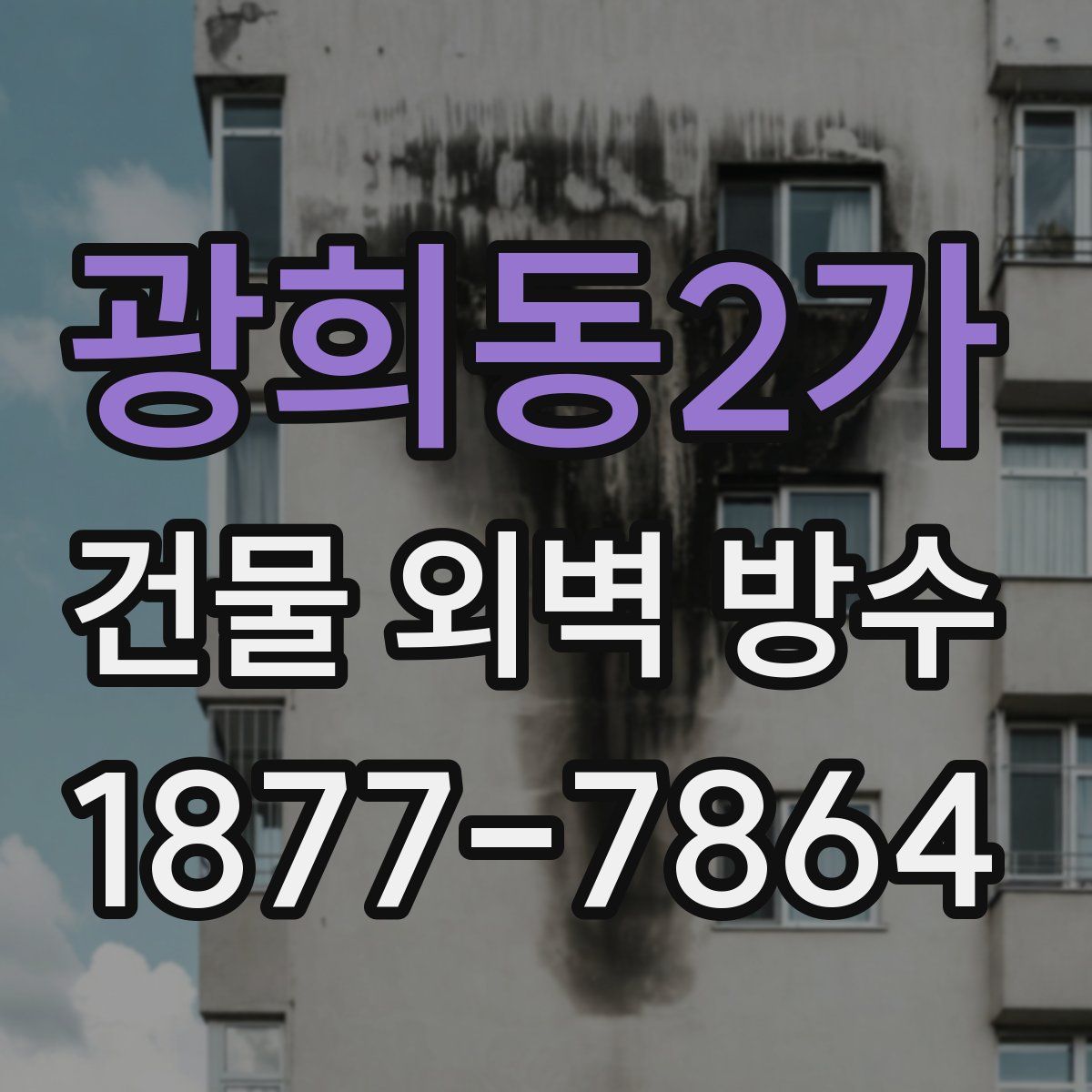 광희동2가 건물 외벽 방수