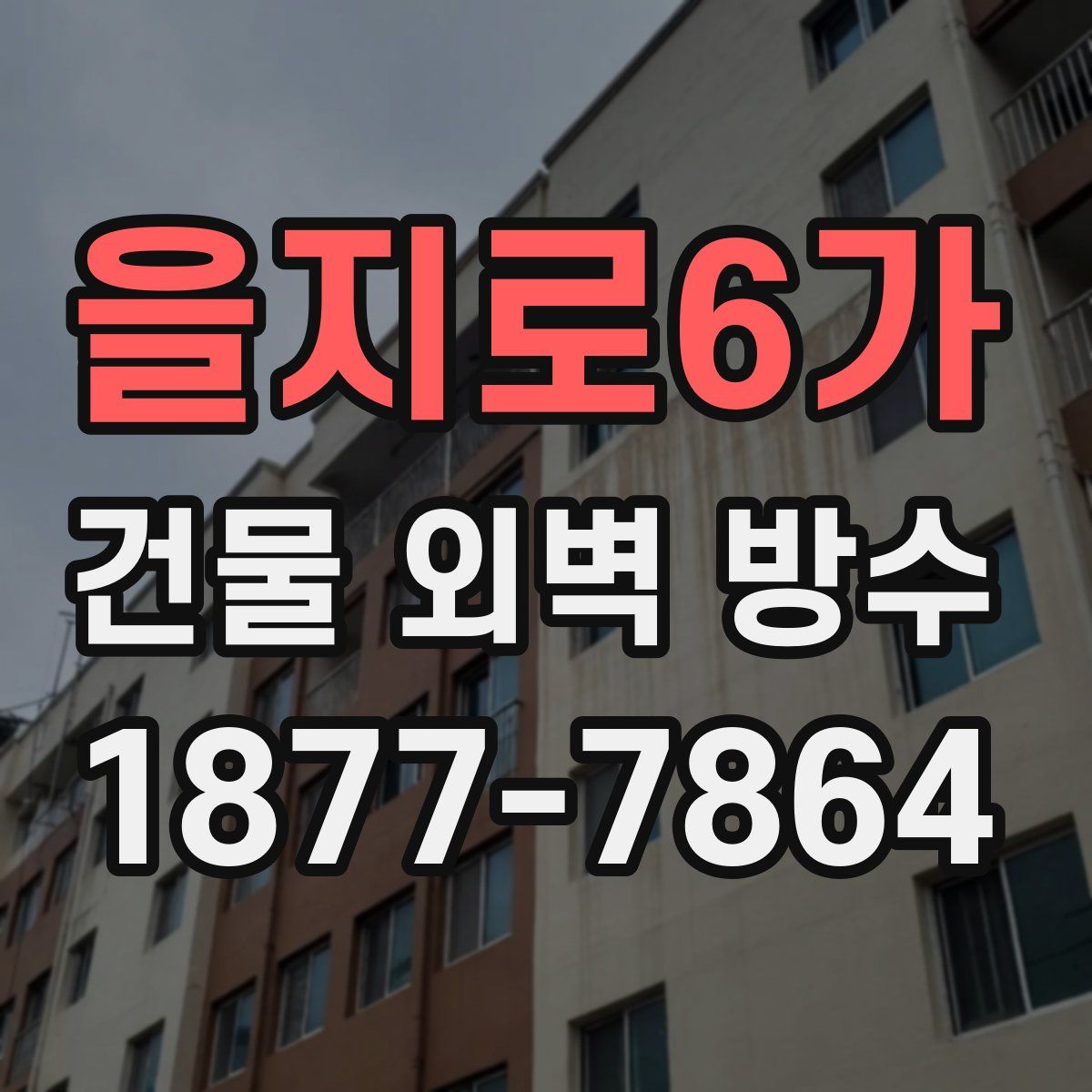 을지로6가 건물 외벽 방수