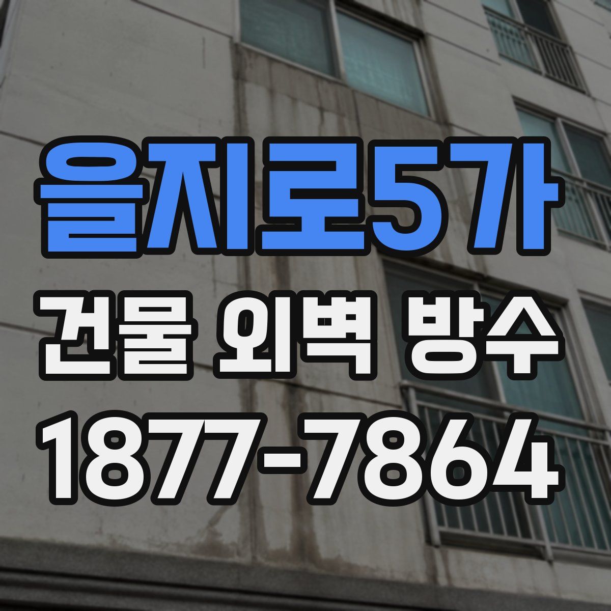 을지로5가 건물 외벽 방수