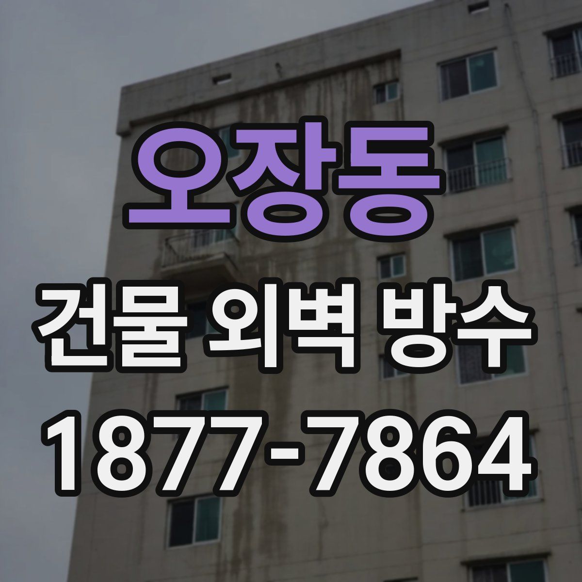 오장동 건물 외벽 방수