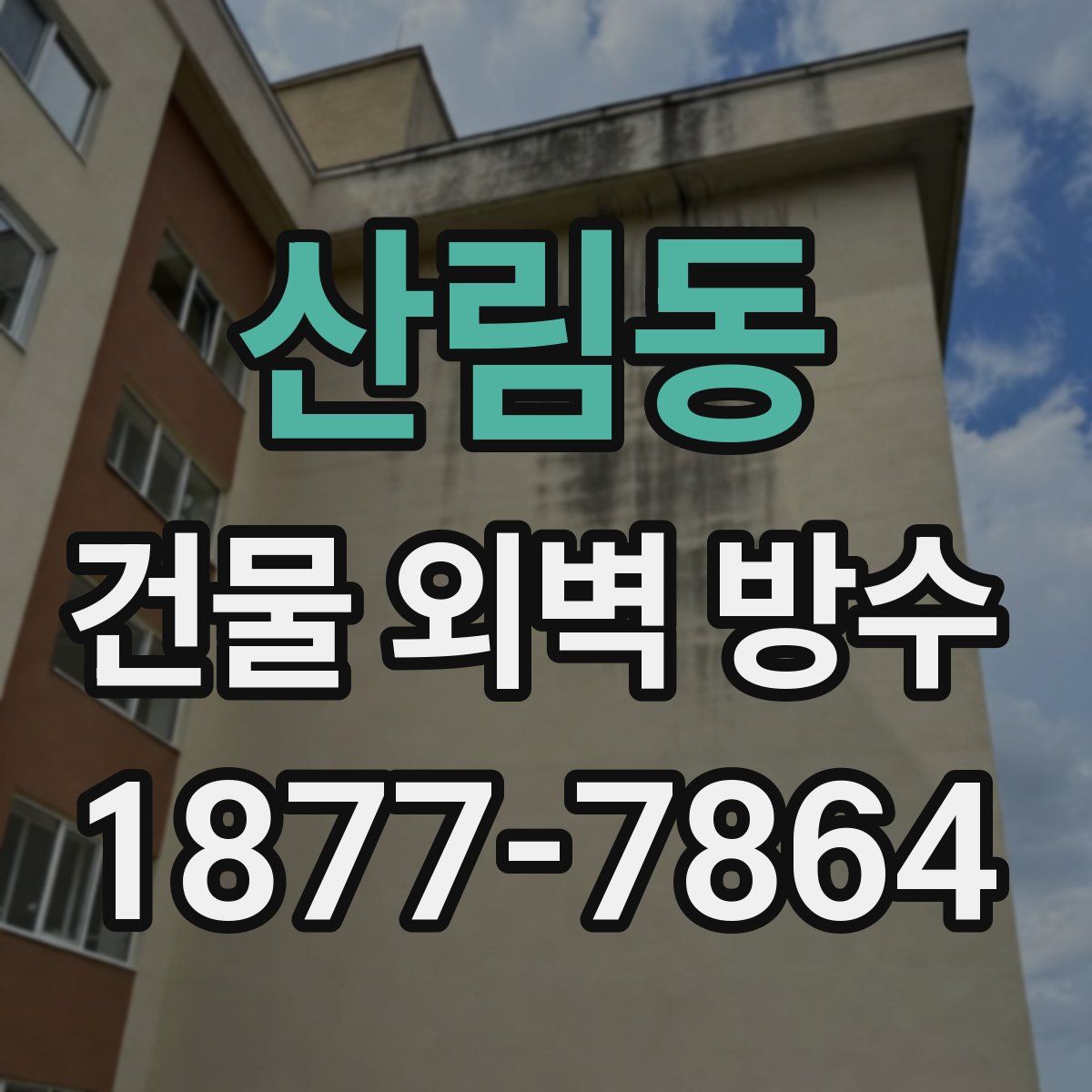 산림동 건물 외벽 방수