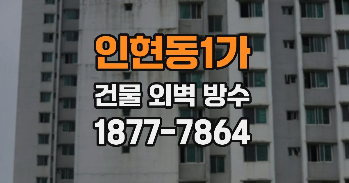 인현동1가 건물 외벽 방수
