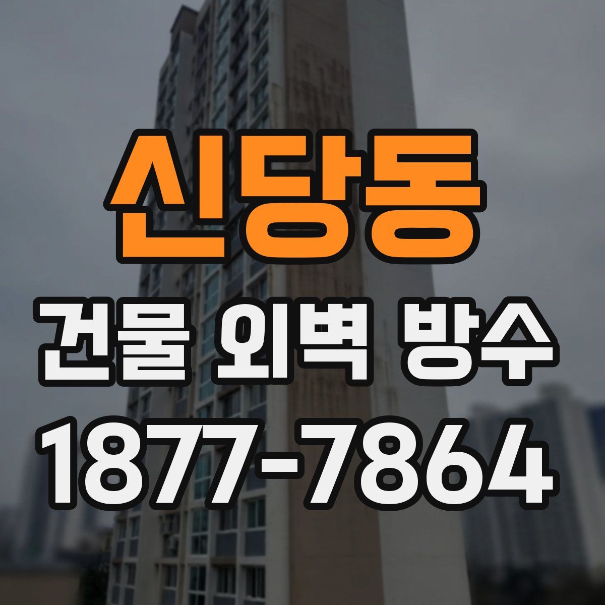 신당동 건물 외벽 방수