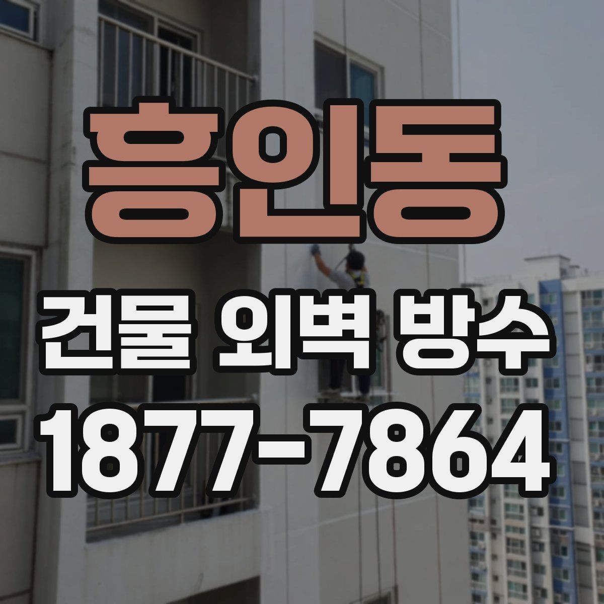 흥인동 건물 외벽 방수 비용과 점검 포인트