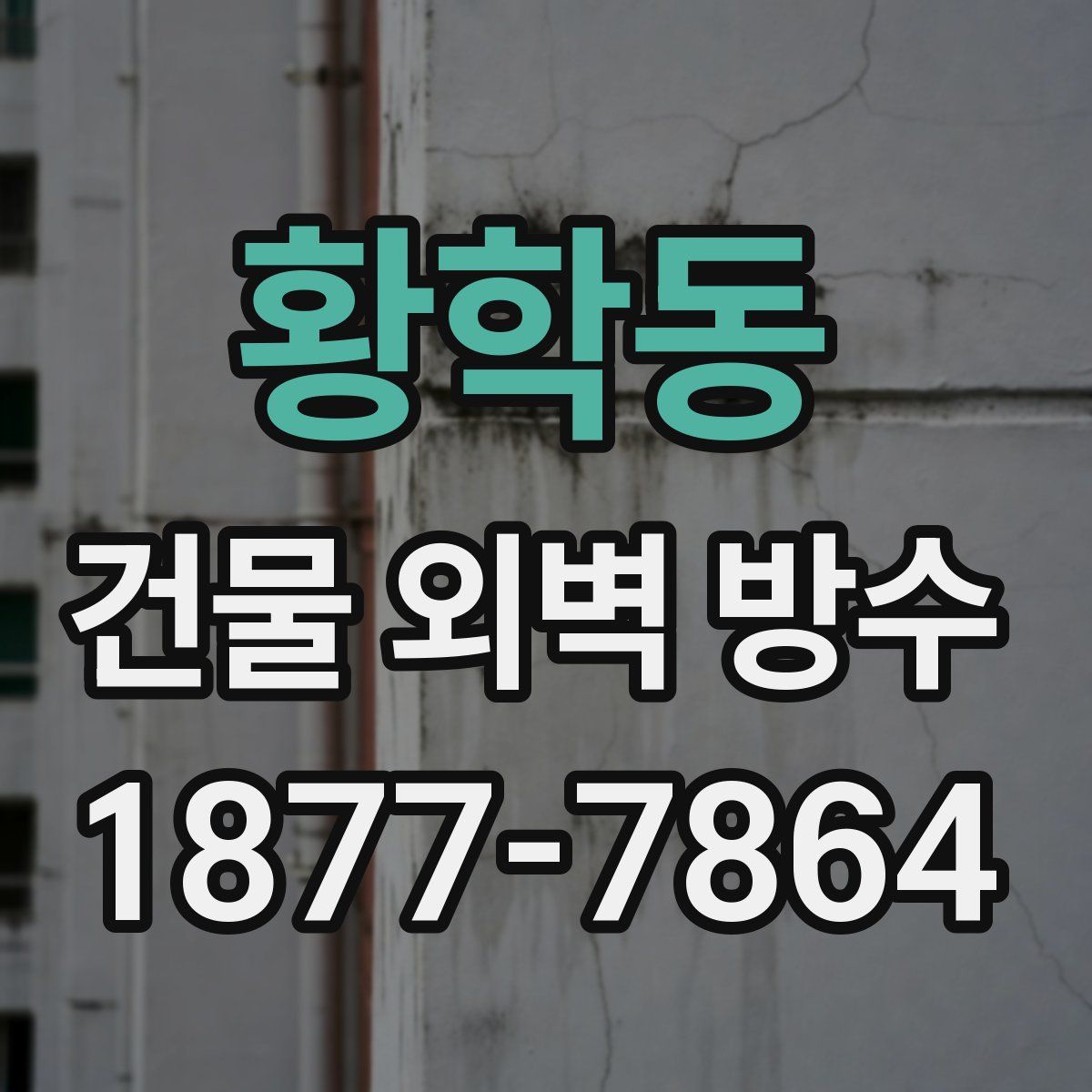 황학동 건물 외벽 방수