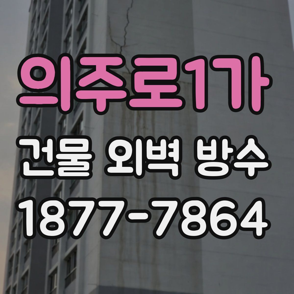 의주로1가 건물 외벽 방수
