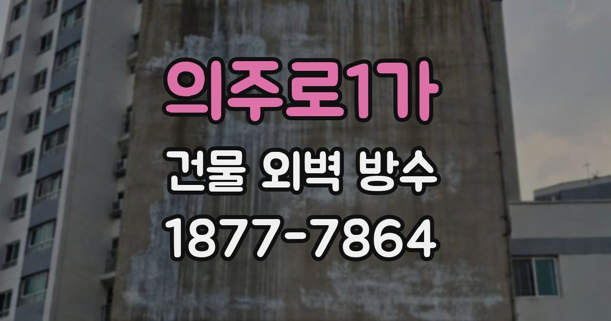 의주로1가 건물 외벽 방수