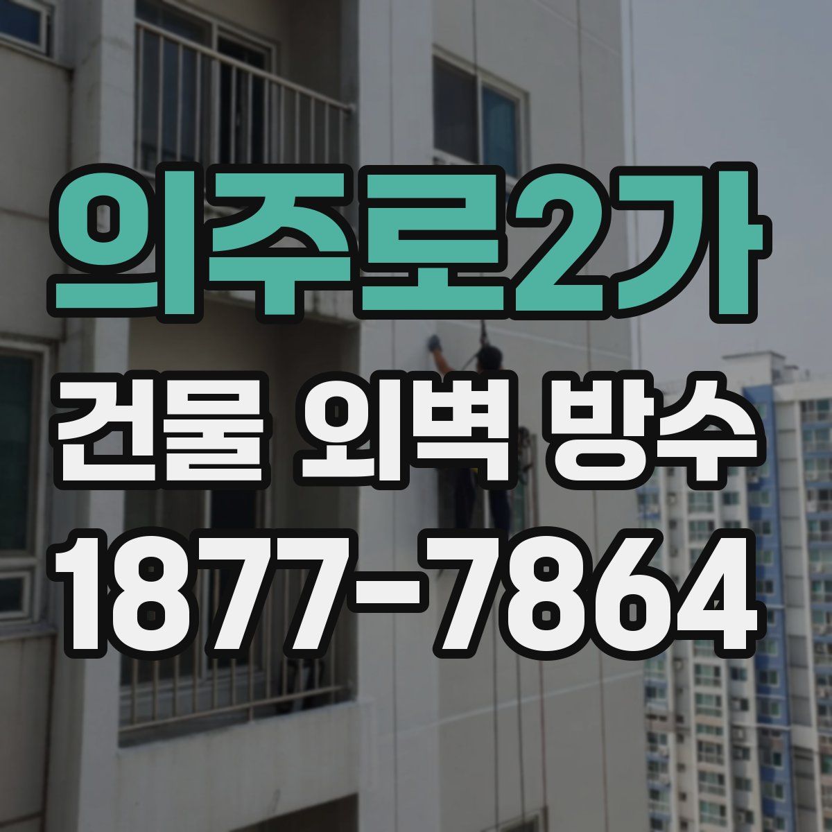 의주로2가 건물 외벽 방수