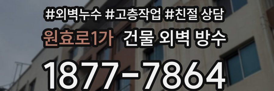 원효로1가 건물 외벽 방수