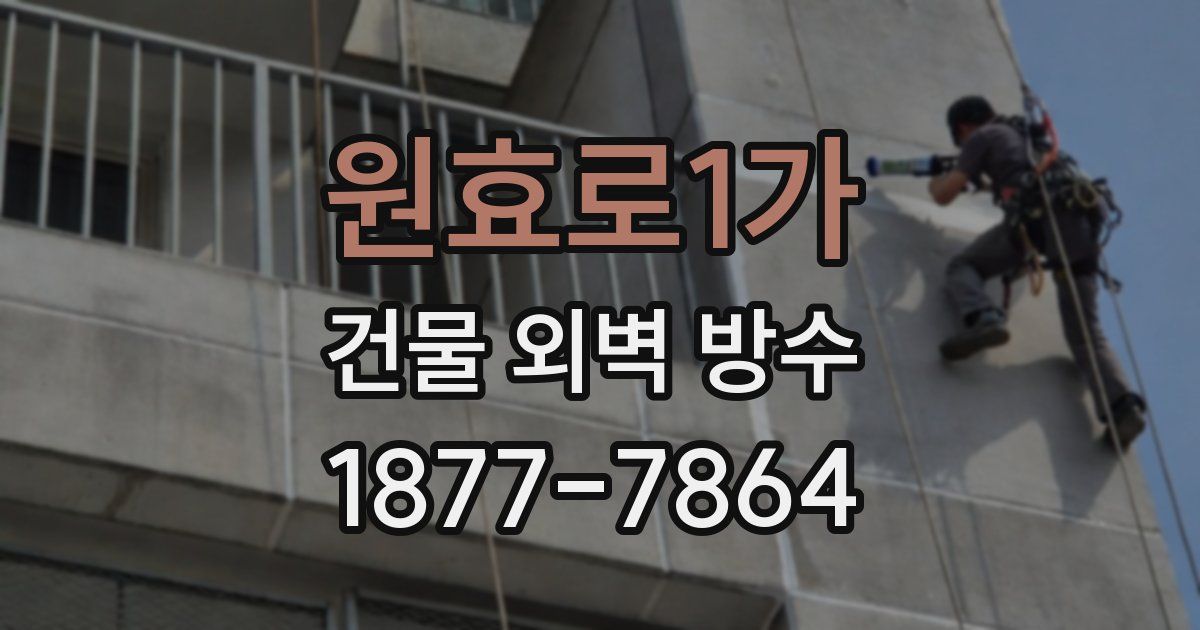 원효로1가 건물 외벽 방수