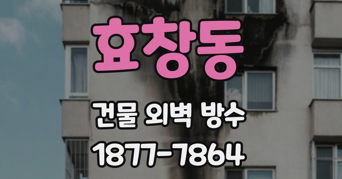 효창동 건물 외벽 방수